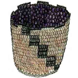 Huckleberry basket
